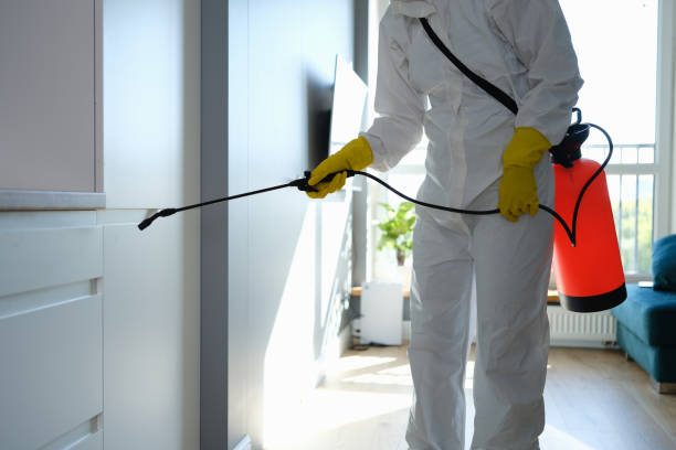 Best Mold Removal Near Me  in Parker City, IN