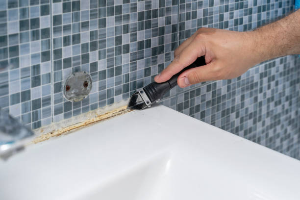 Best Mold Removal Company Near Me  in Parker City, IN