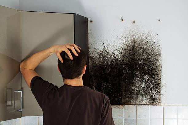Best Mold Testing  in Parker City, IN